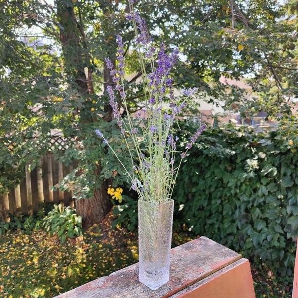 Vintage 🇫🇮  Iittala | " Linearia " square, textured vase - Picture 13 of 16